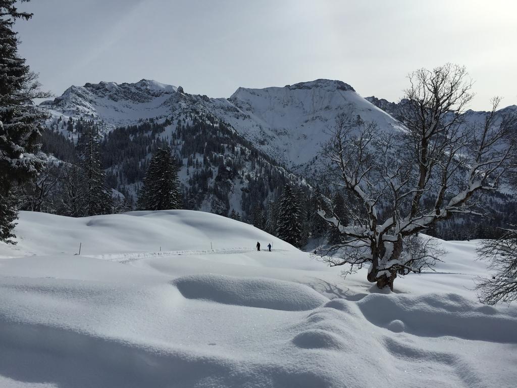 Hotel-Gasthof Der Wiesengrund バート・ヒンデラング エクステリア 写真
